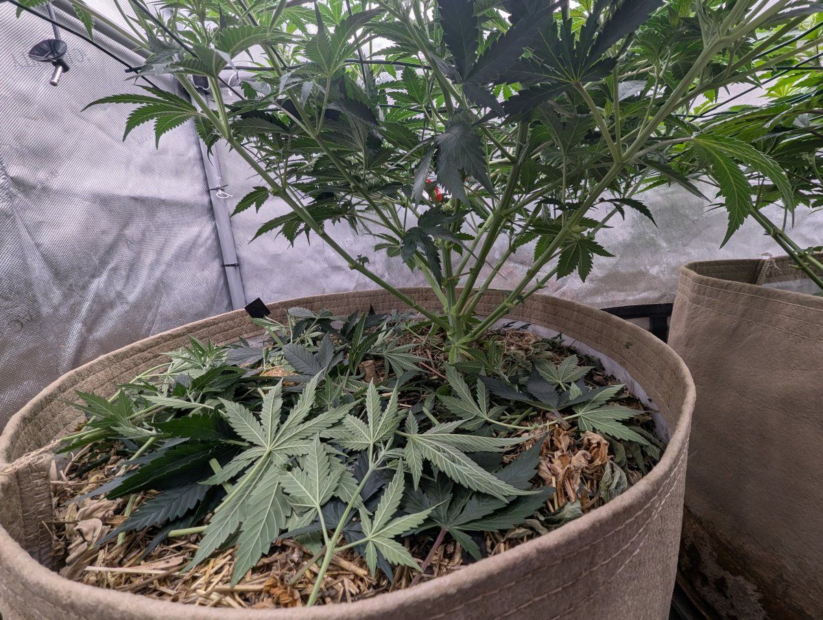 PXL 20260503 172704707