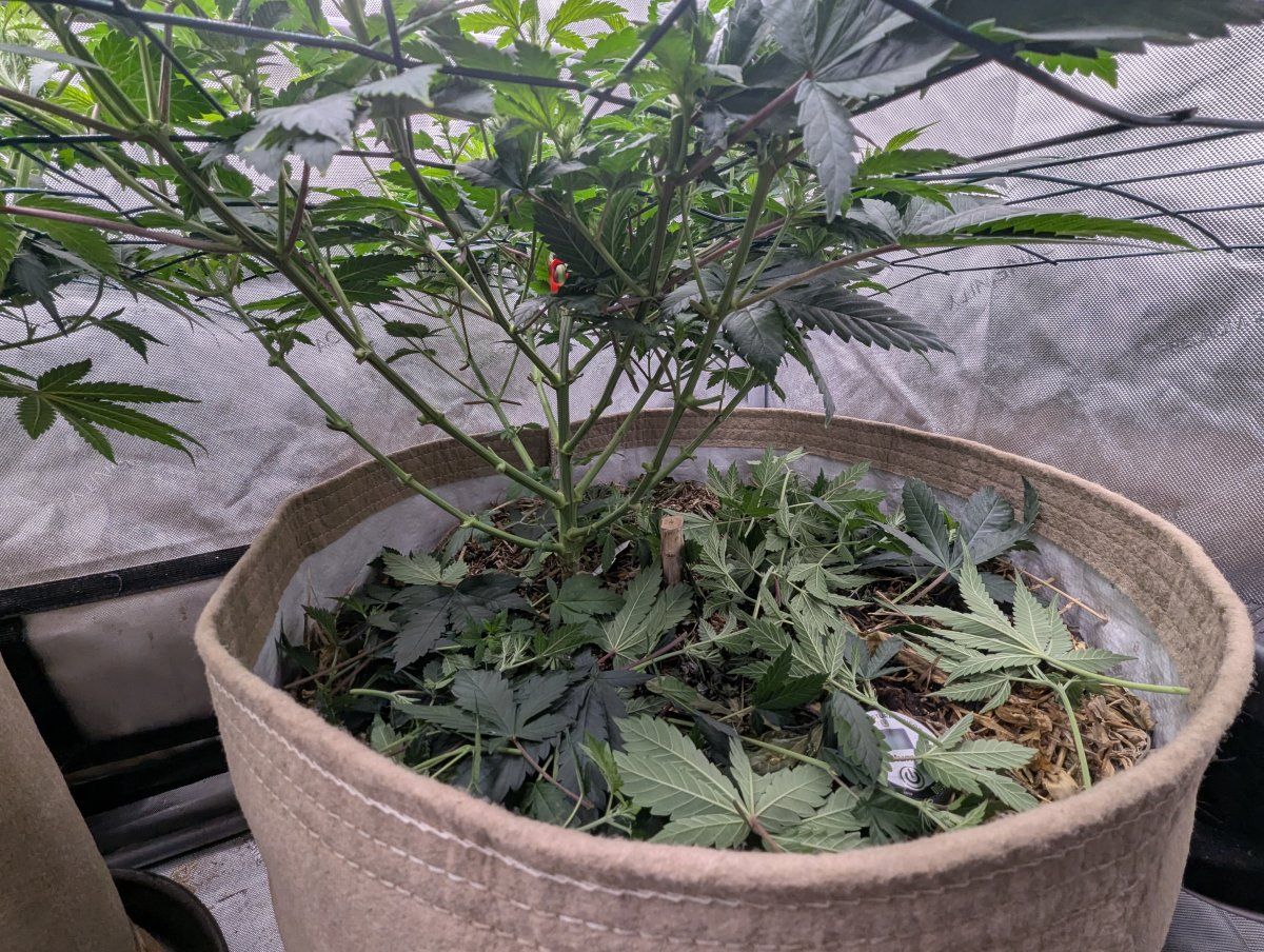 PXL 20260503 172708152