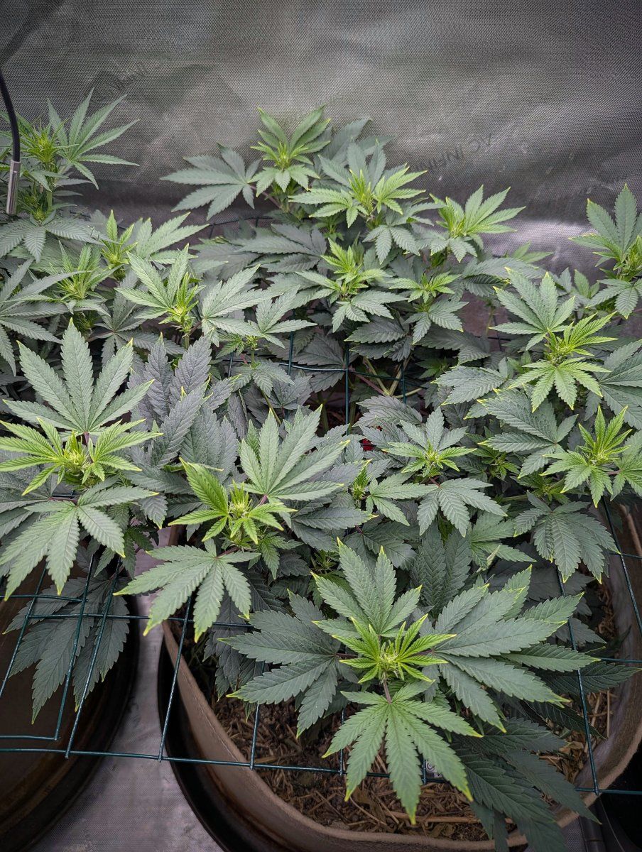 PXL 20260505 0206211442