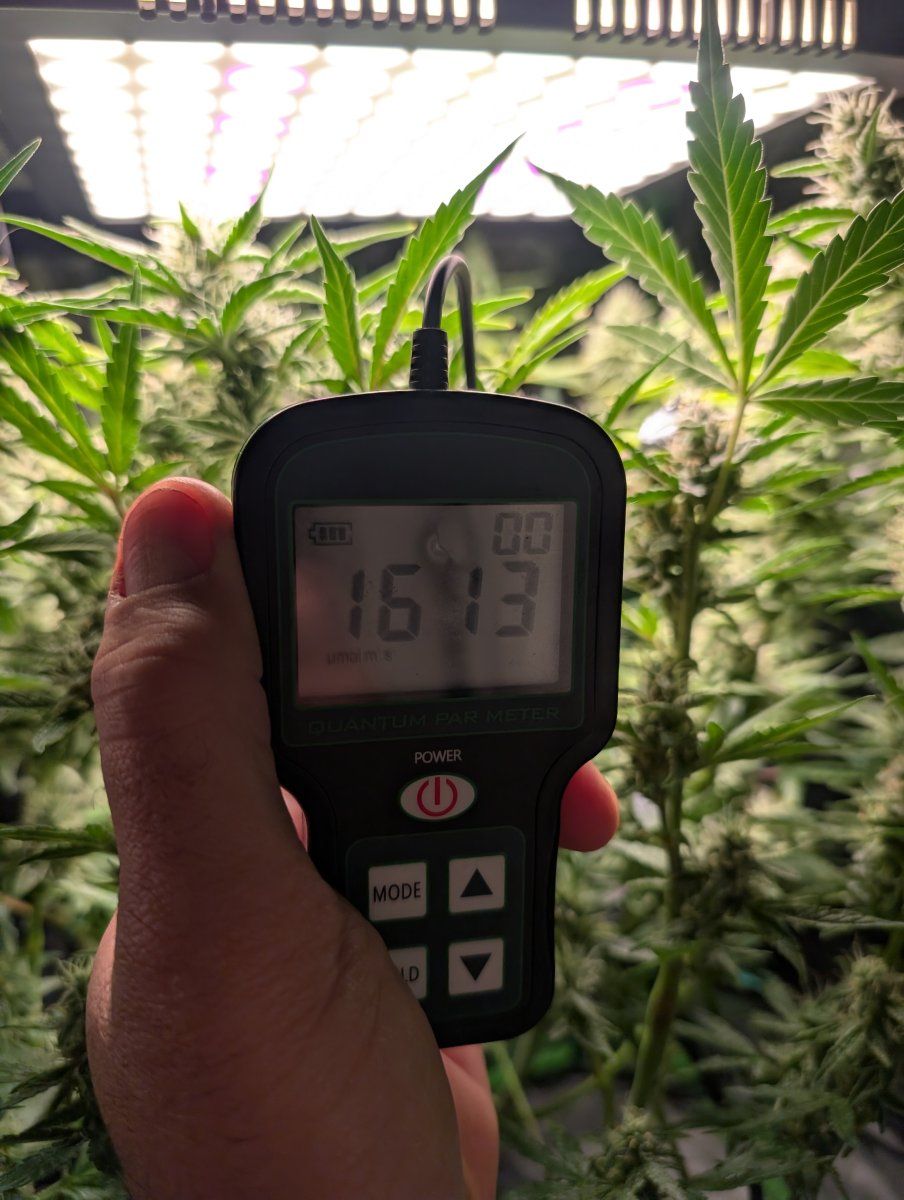 PXL 20260508 133144255MP