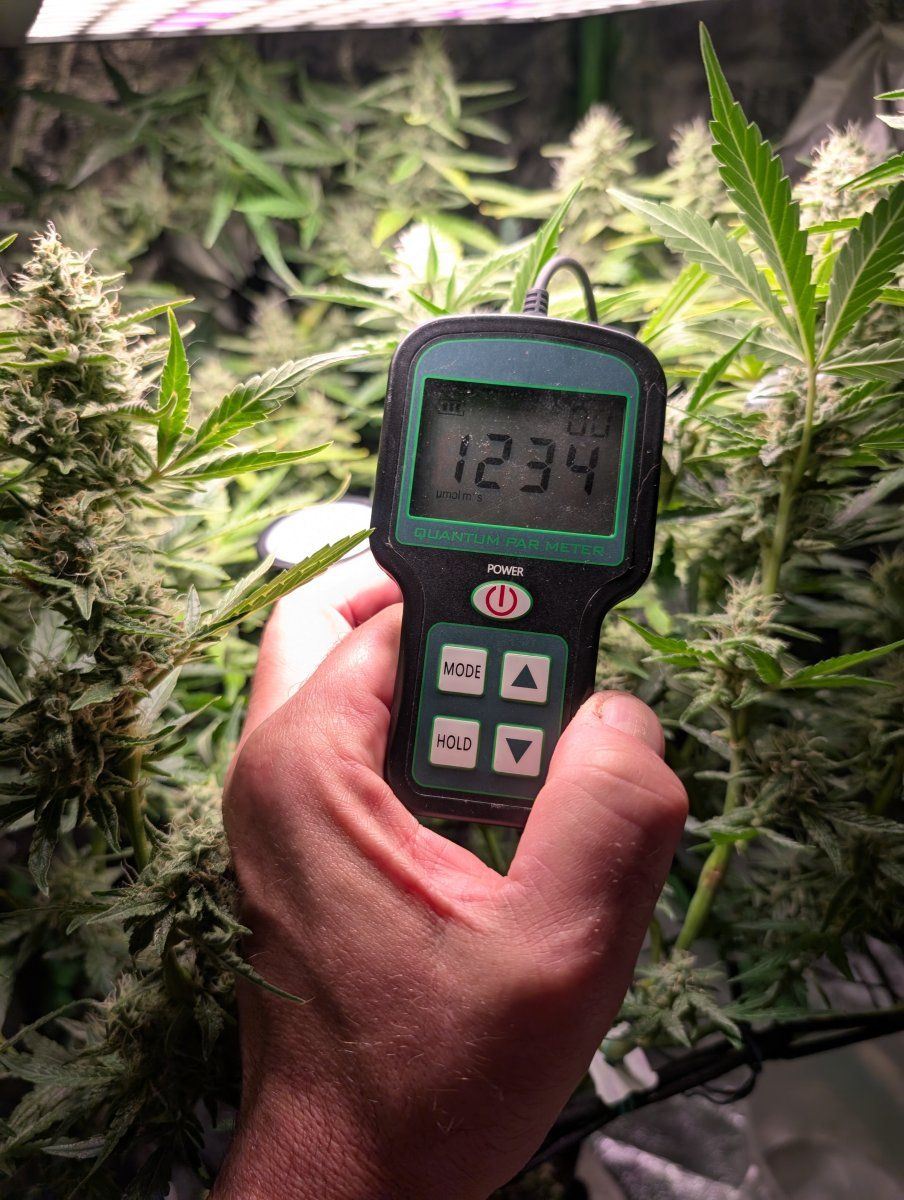 PXL 20260508 134643328