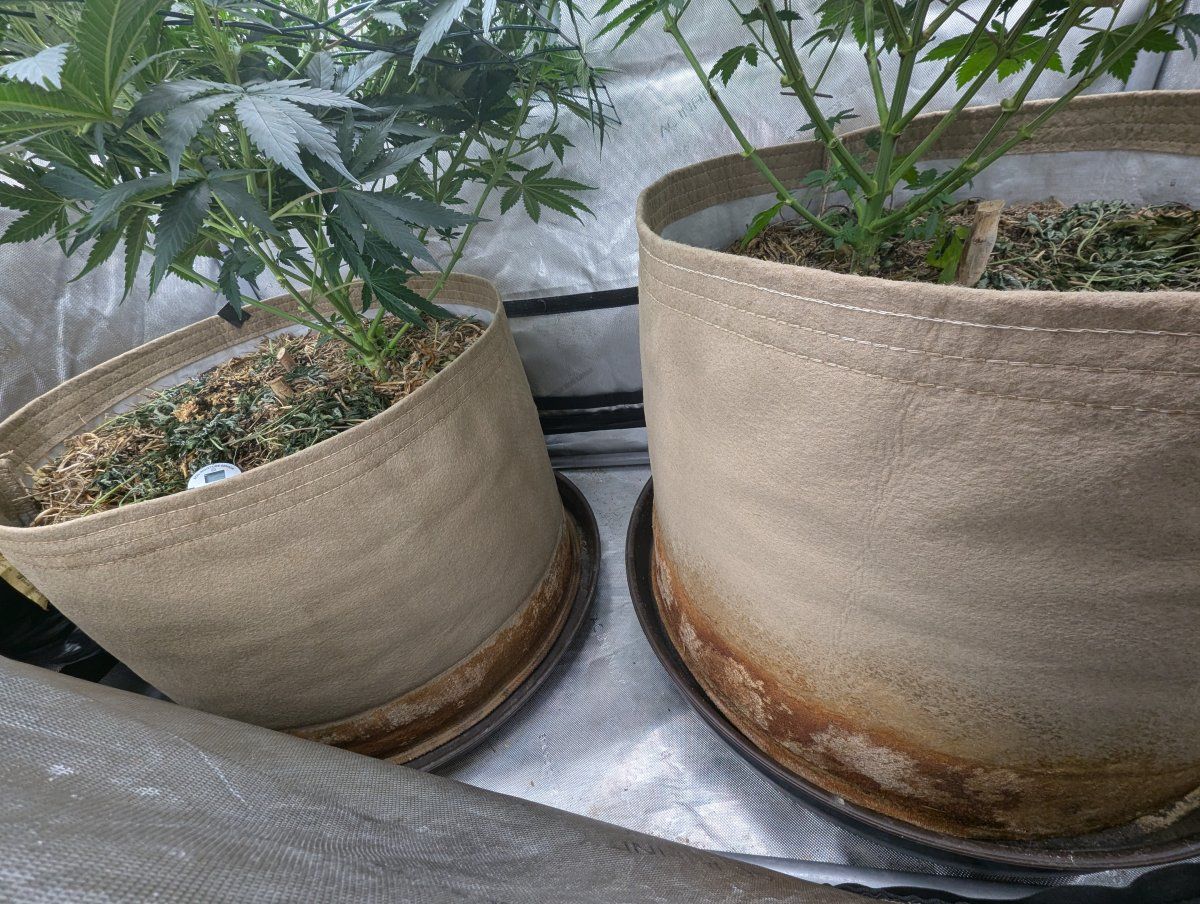 PXL 20260509 031601609