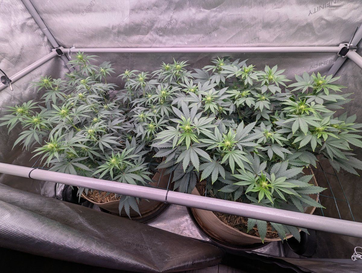 PXL 20260509 031609871