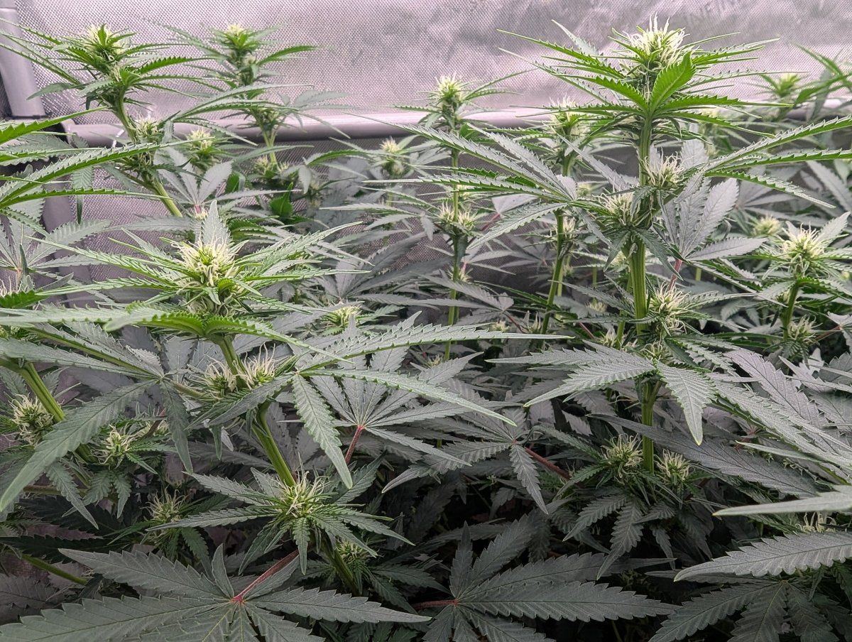 PXL 20260513 0125053072