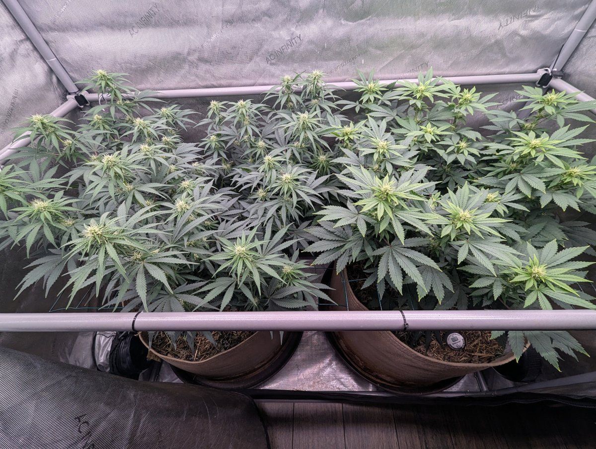 PXL 20260515 0329453282