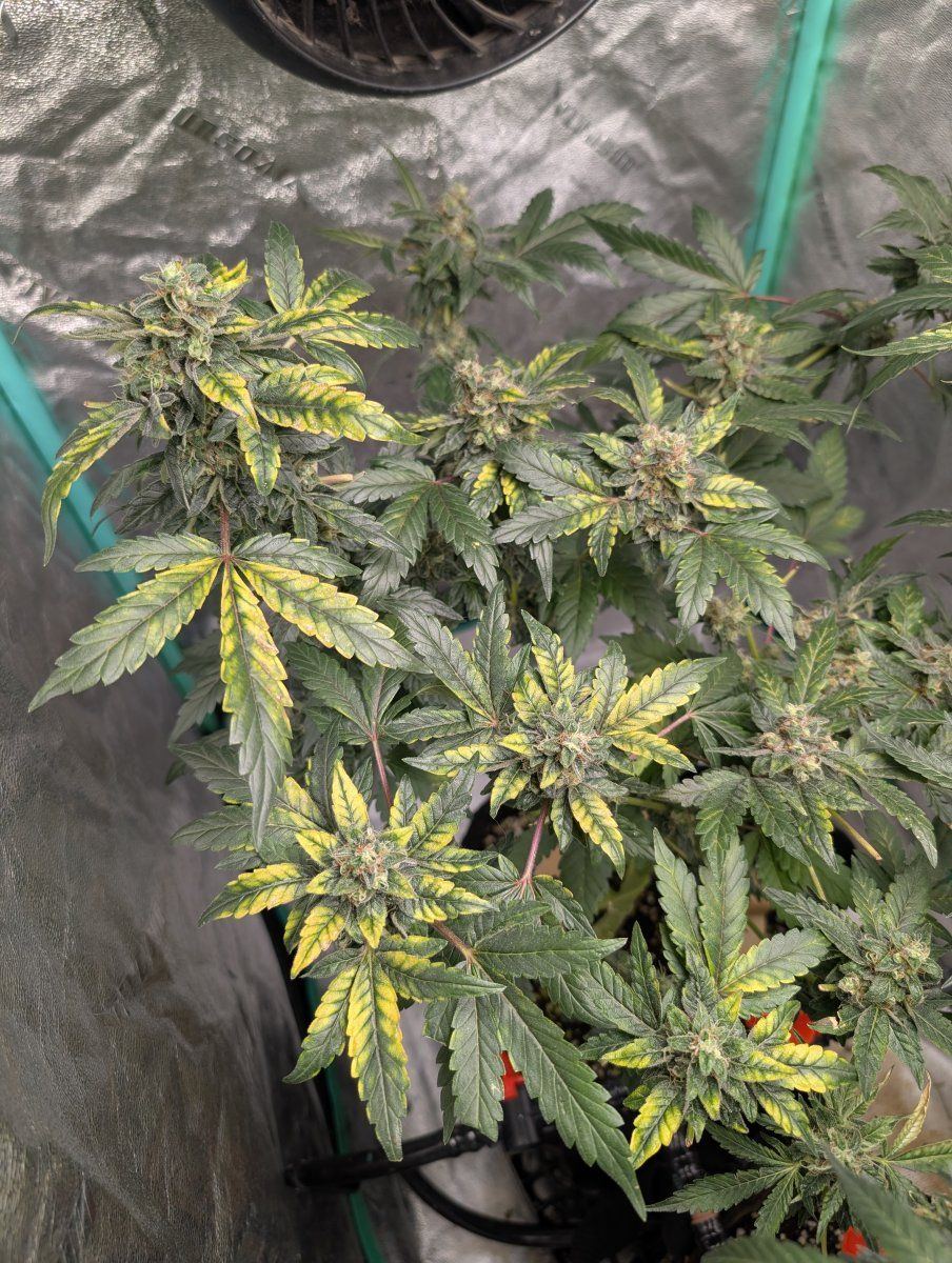 PXL 20260515 120124073