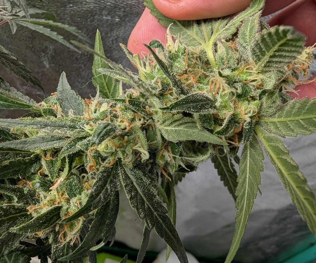 PXL 20260519 134933458MP