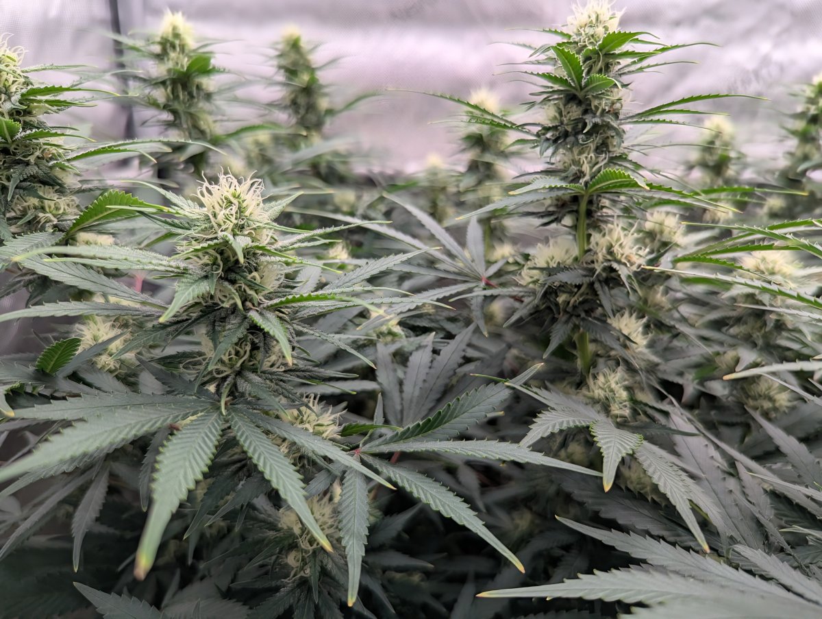 PXL 20260525 1552402122