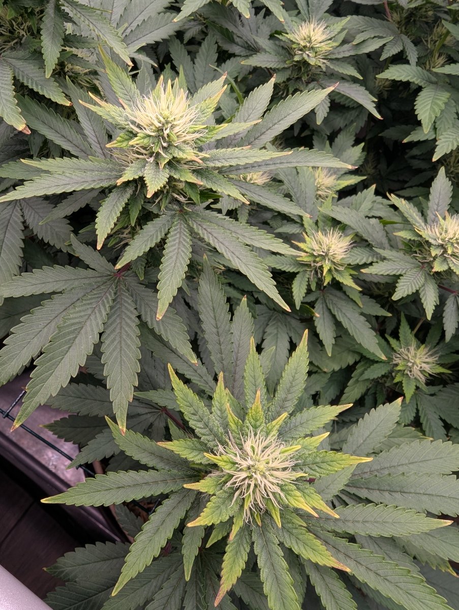 PXL 20260527 232729070
