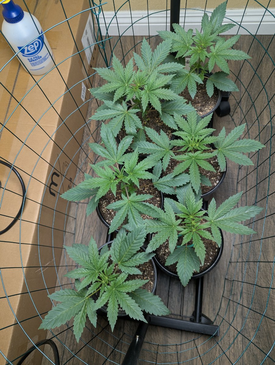 PXL 20260611 235014873