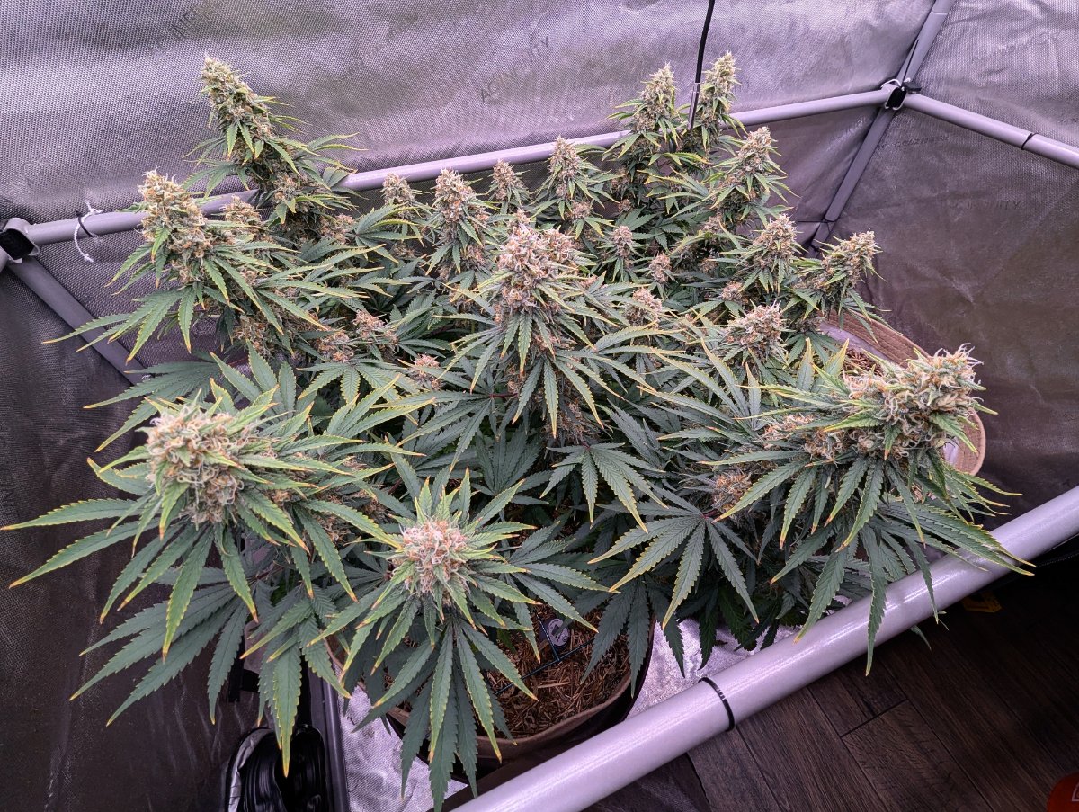 PXL 20260613 0305548333