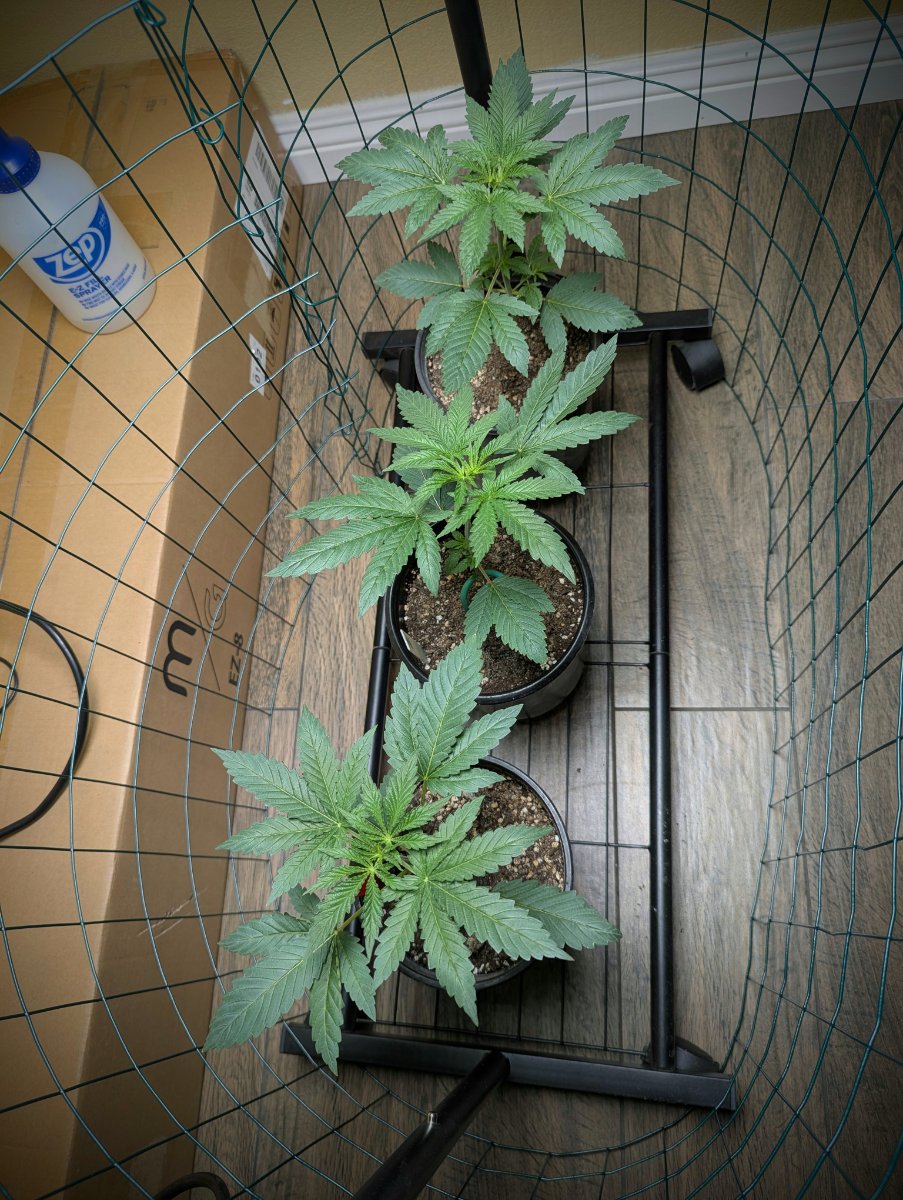 PXL 20260613 165950566