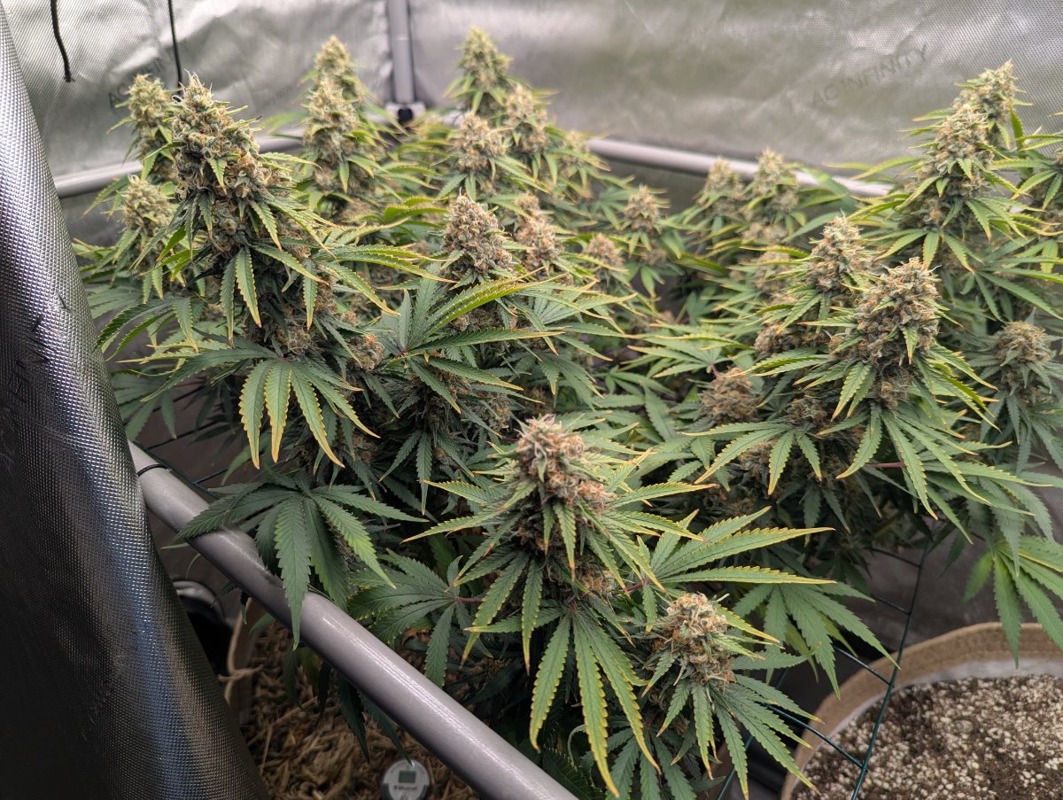 PXL 20260617 012722368