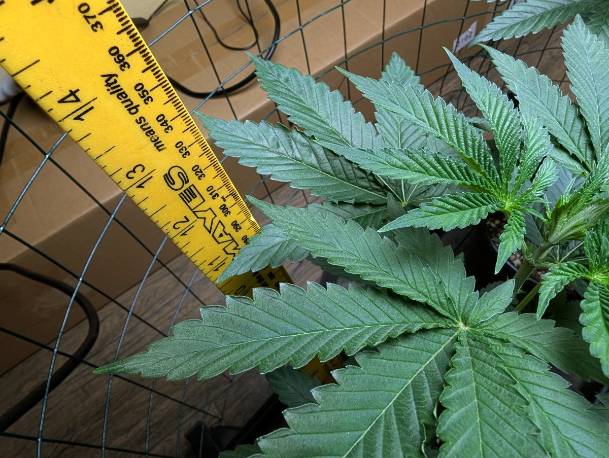 PXL 20260619 213440183