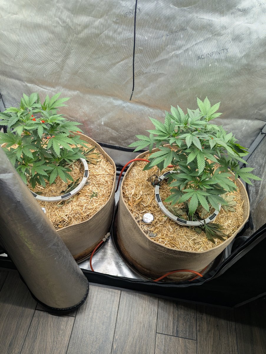PXL 20260705 020222528