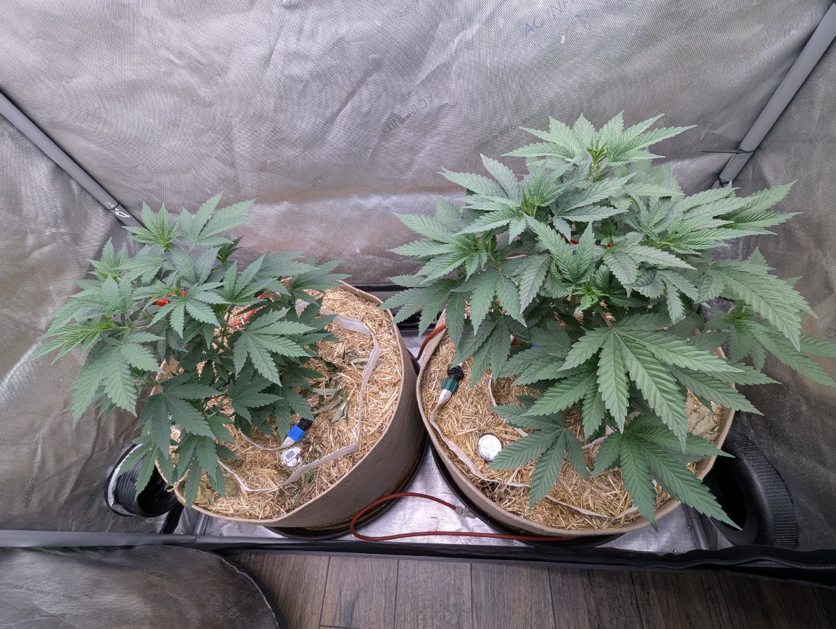 PXL 20260708 002019208