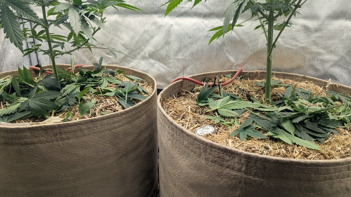 PXL 20260713 005031503
