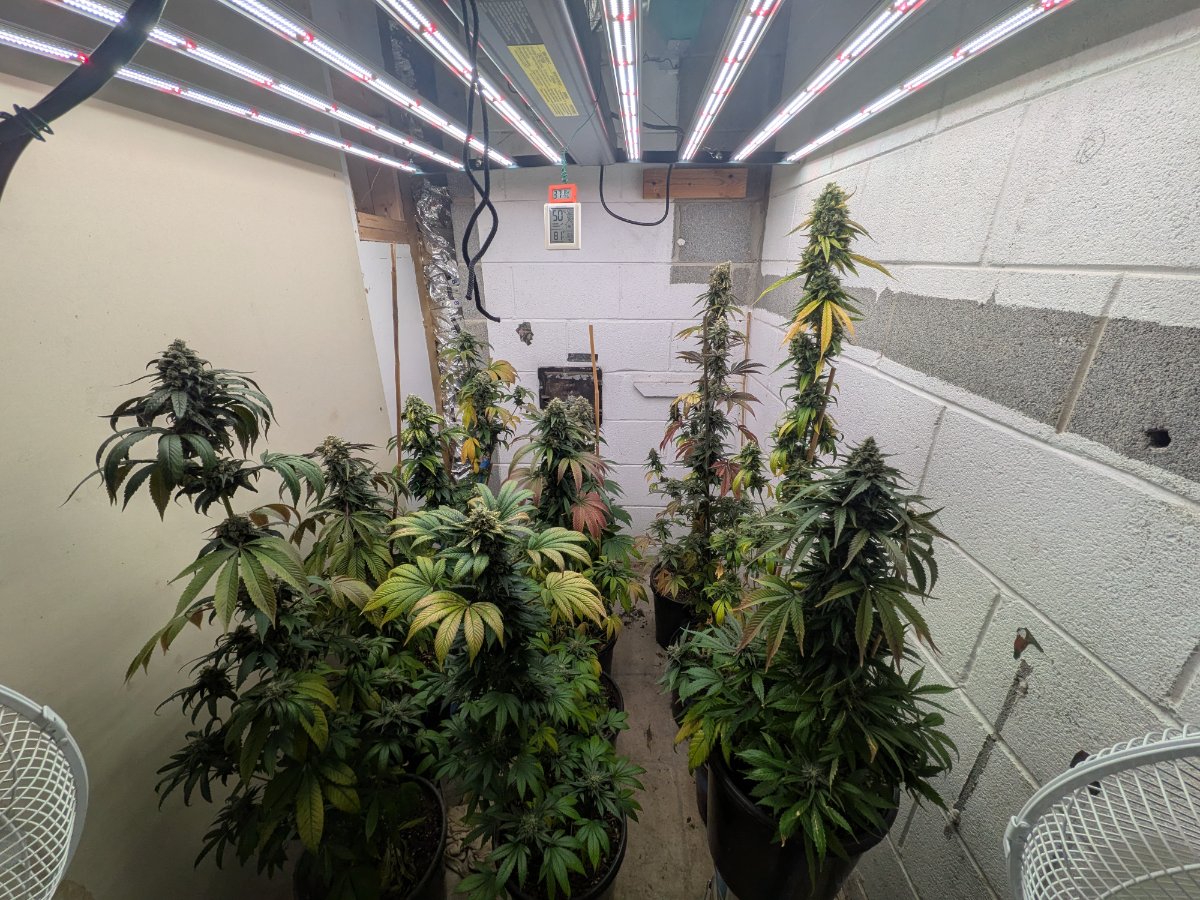 PXL 20260713 023747344
