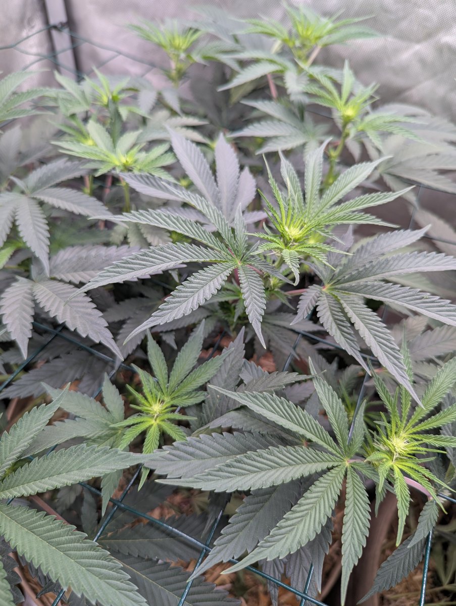 PXL 20260722 191050622