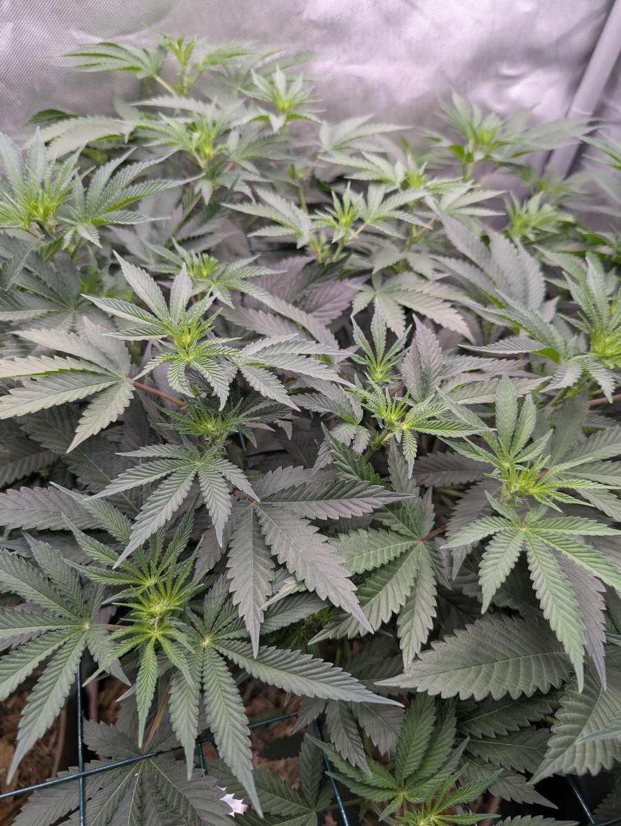 PXL 20260722 191053901