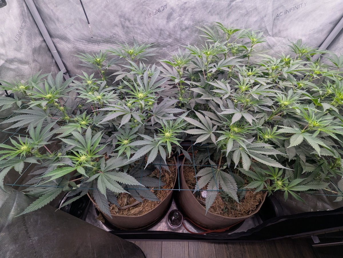 PXL 20260725 151354186