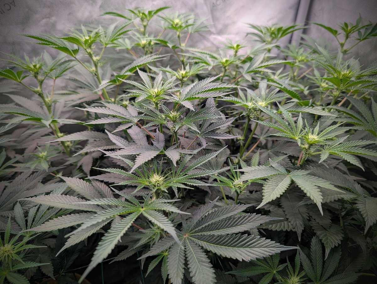 PXL 20260726 1811463272