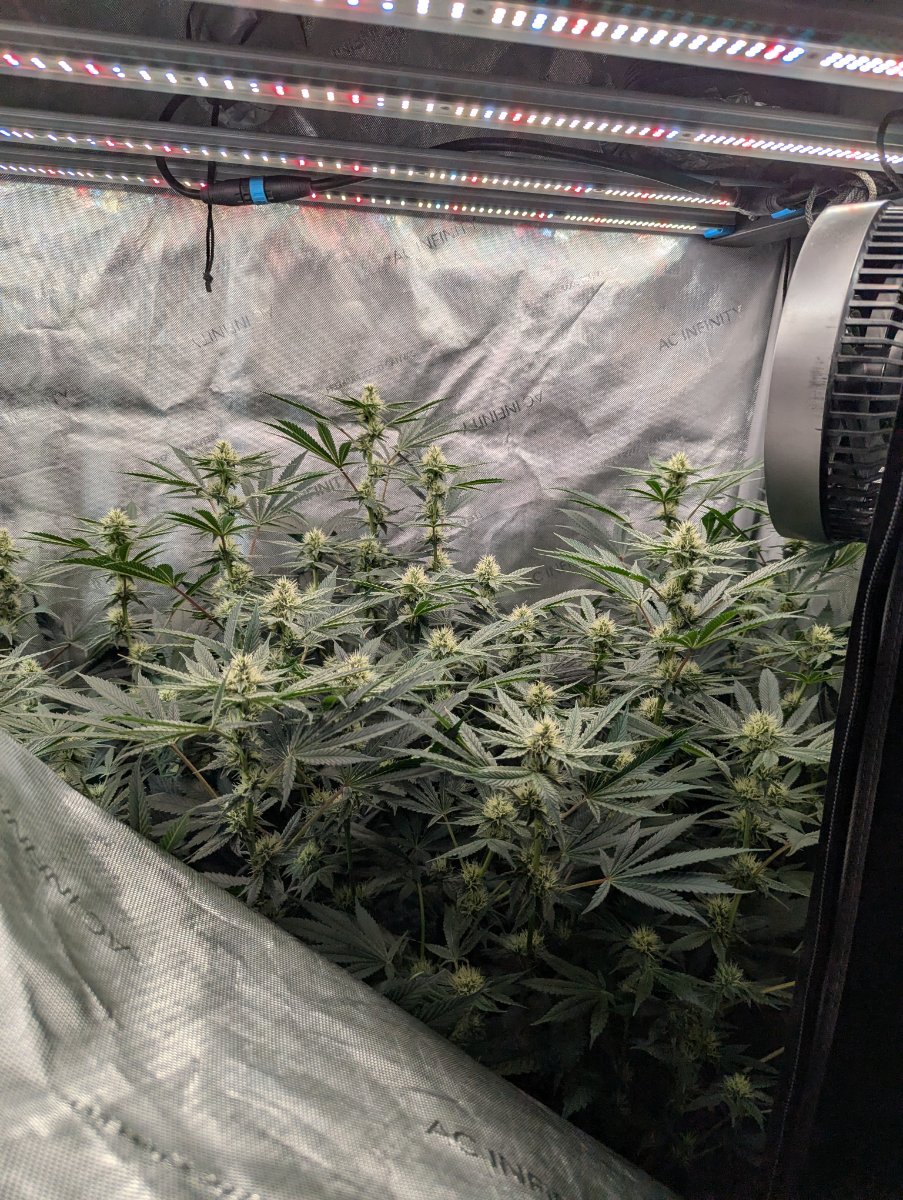 PXL 20260807 021851108