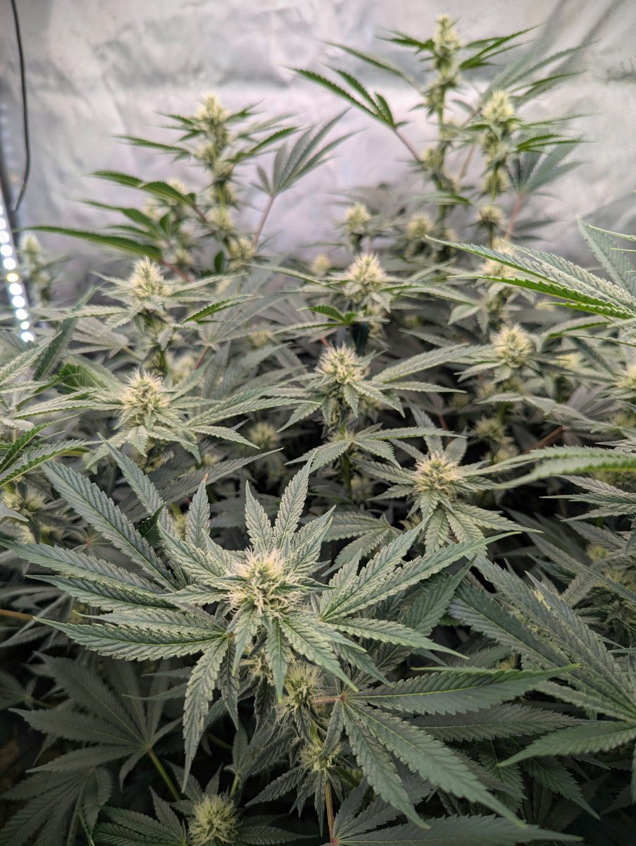 PXL 20260807 021921278