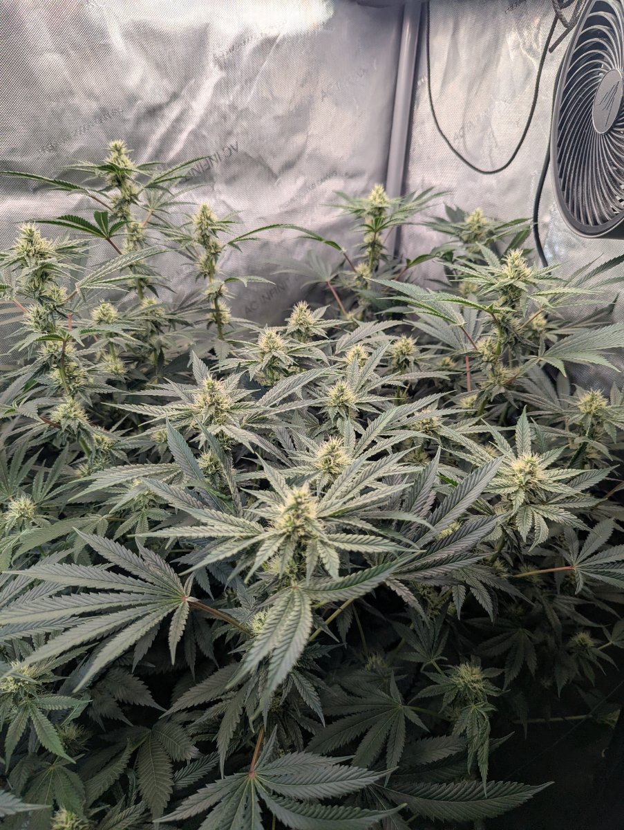 PXL 20260808 183846140
