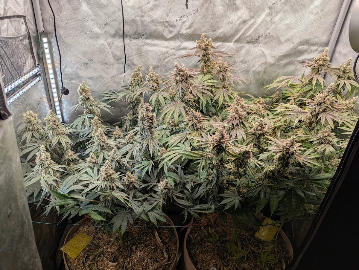 PXL 20260918 1921517672