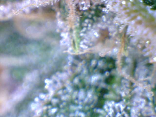 Q2a1