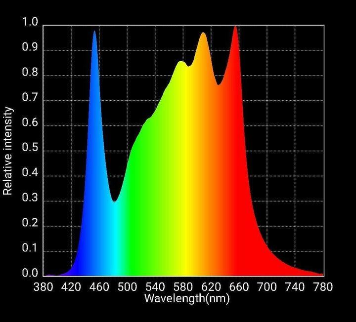 QB648Spectrum 720x