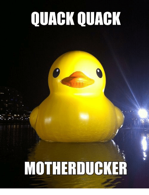 Quack quack motherducker 33503155