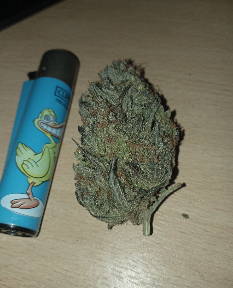 Quackk