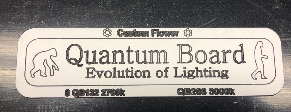 Quantum light flower tent build 2