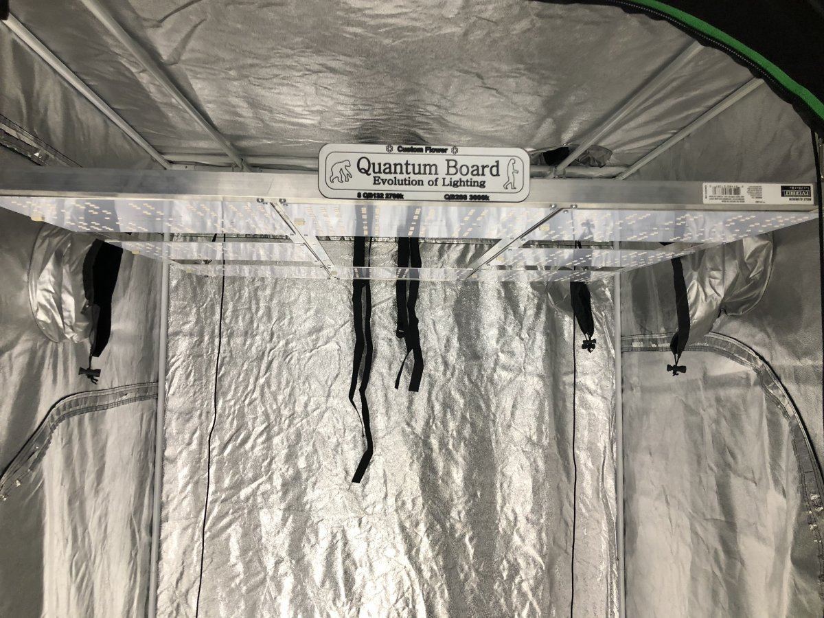 Quantum light flower tent build 3