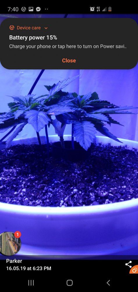 Questions or opinions on my mainliningtopping 2