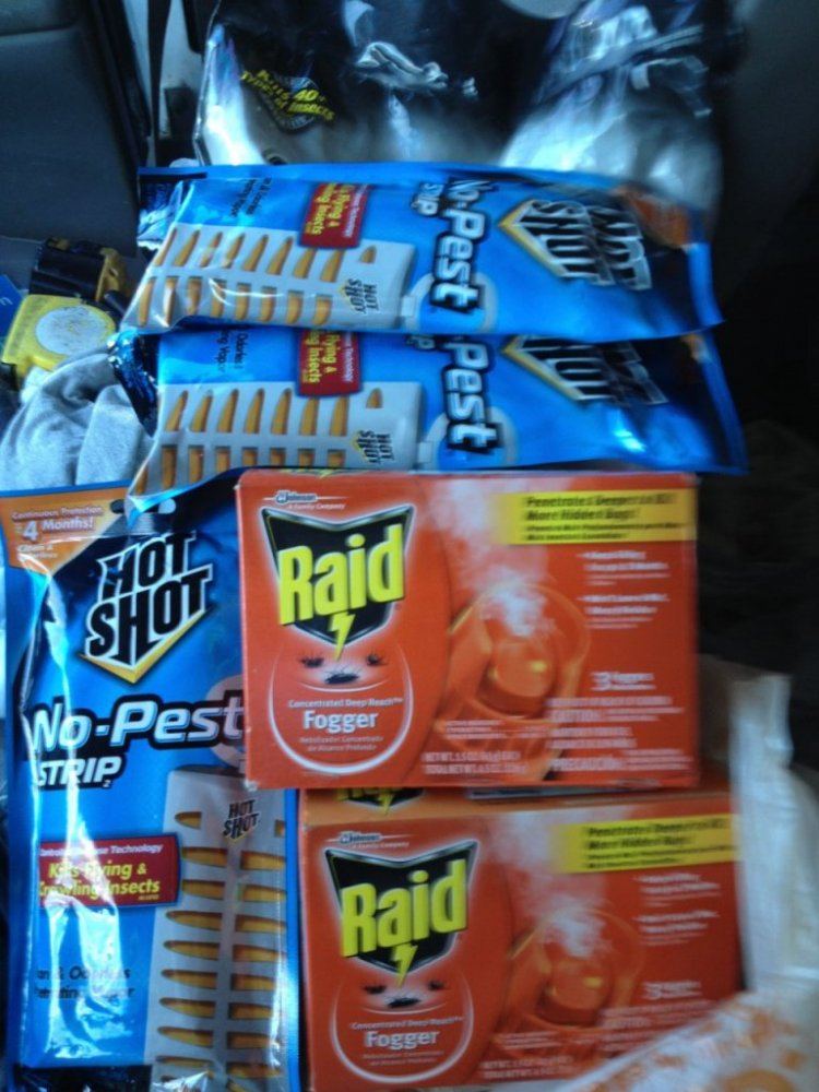 Raid