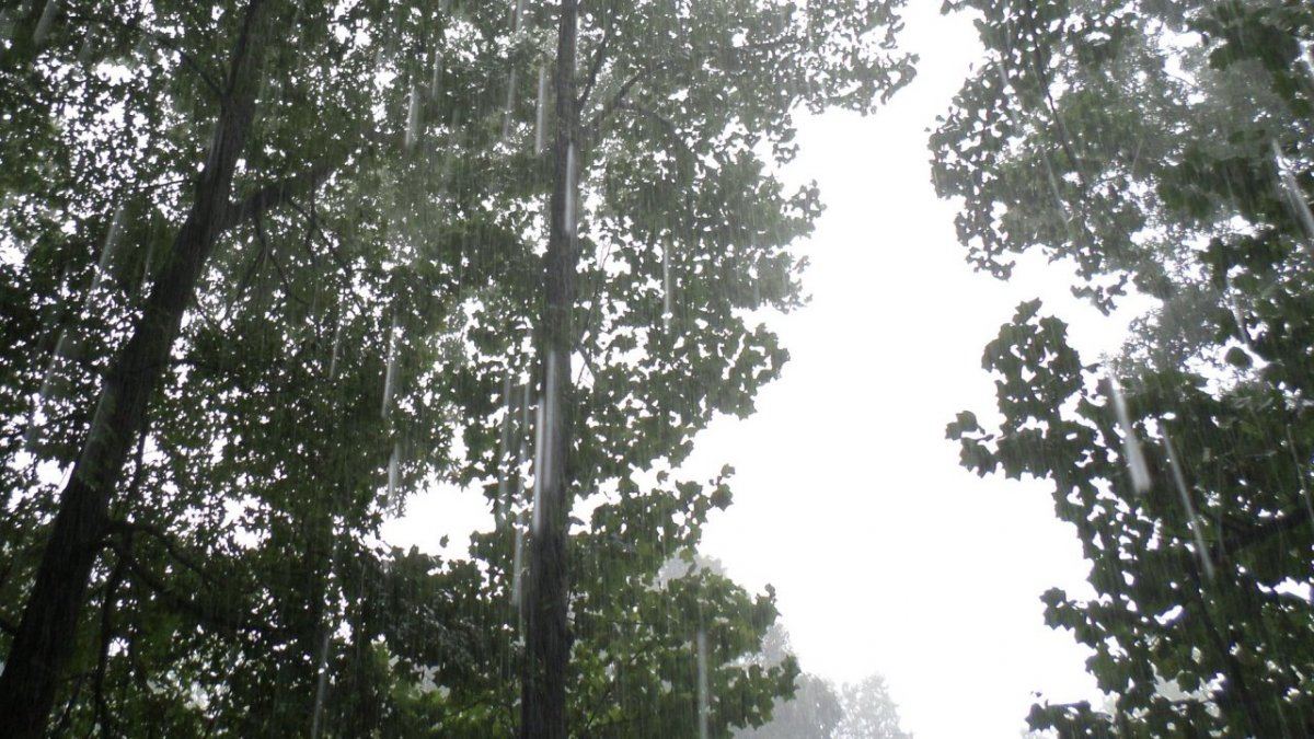 Rain2