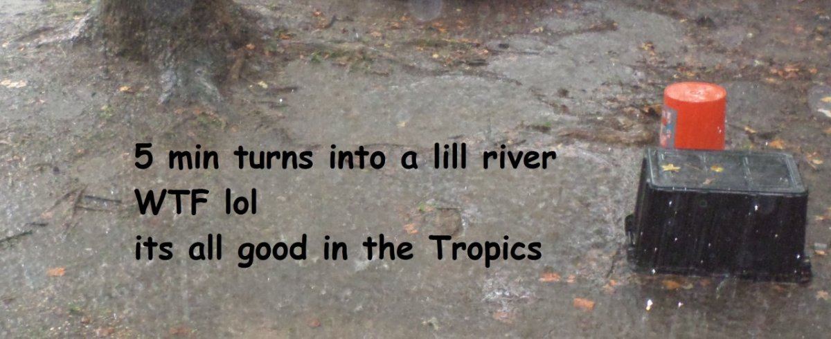 Rain3