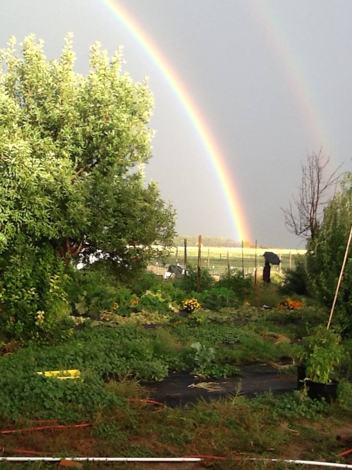 Rainbow