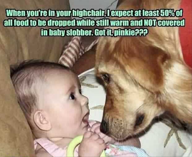 Random funny pictures dumpaday 1