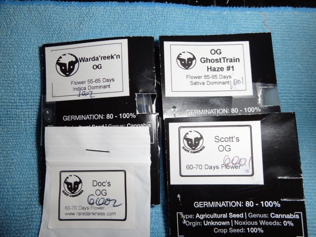 Rare 005