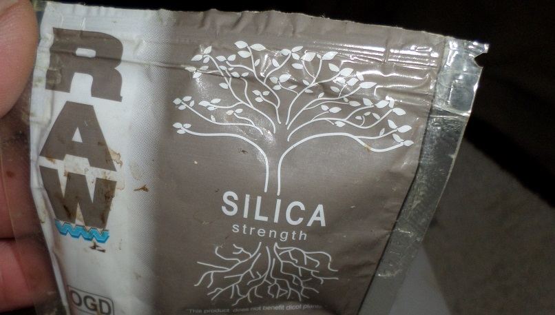 RAW Silca