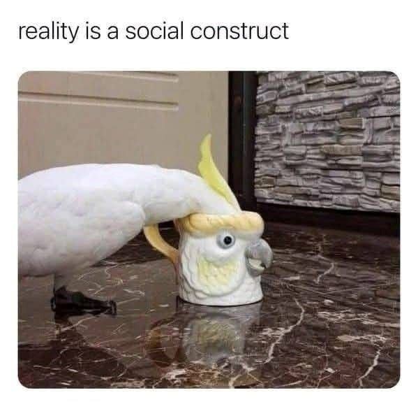 Reality is social construct