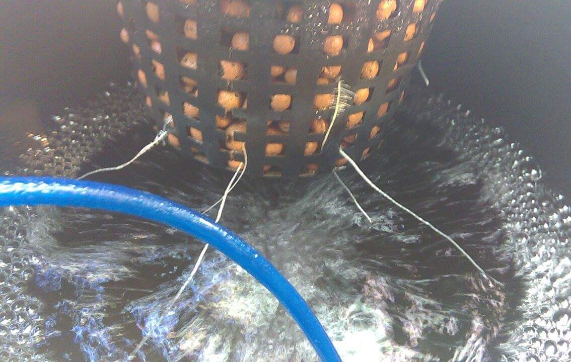 Received 1157926660898232