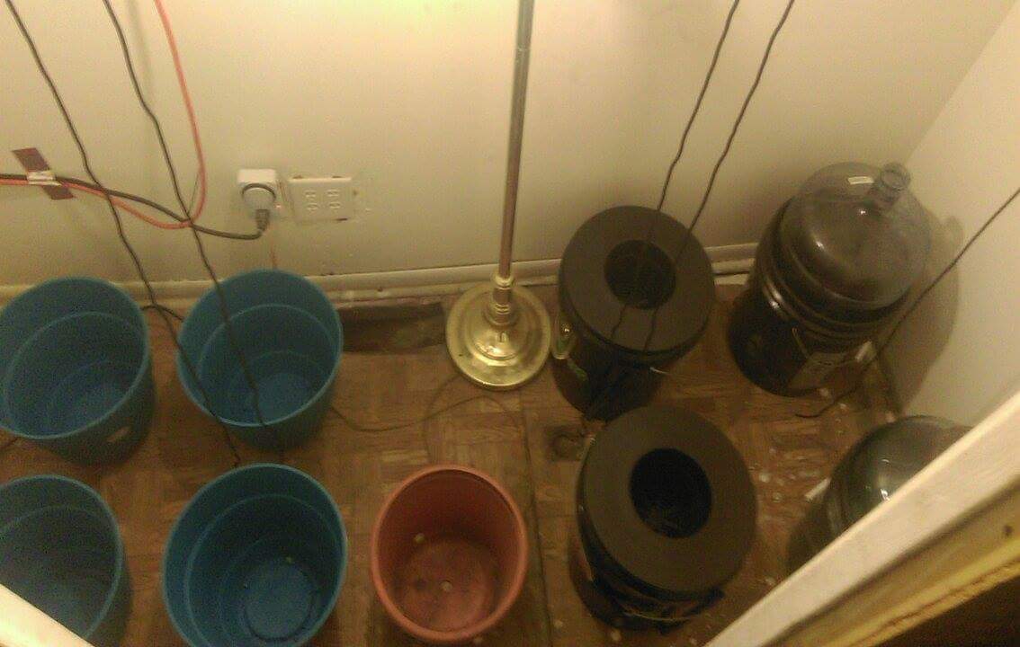 Received 1185541011470130