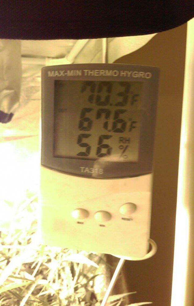Received 1200406383316926