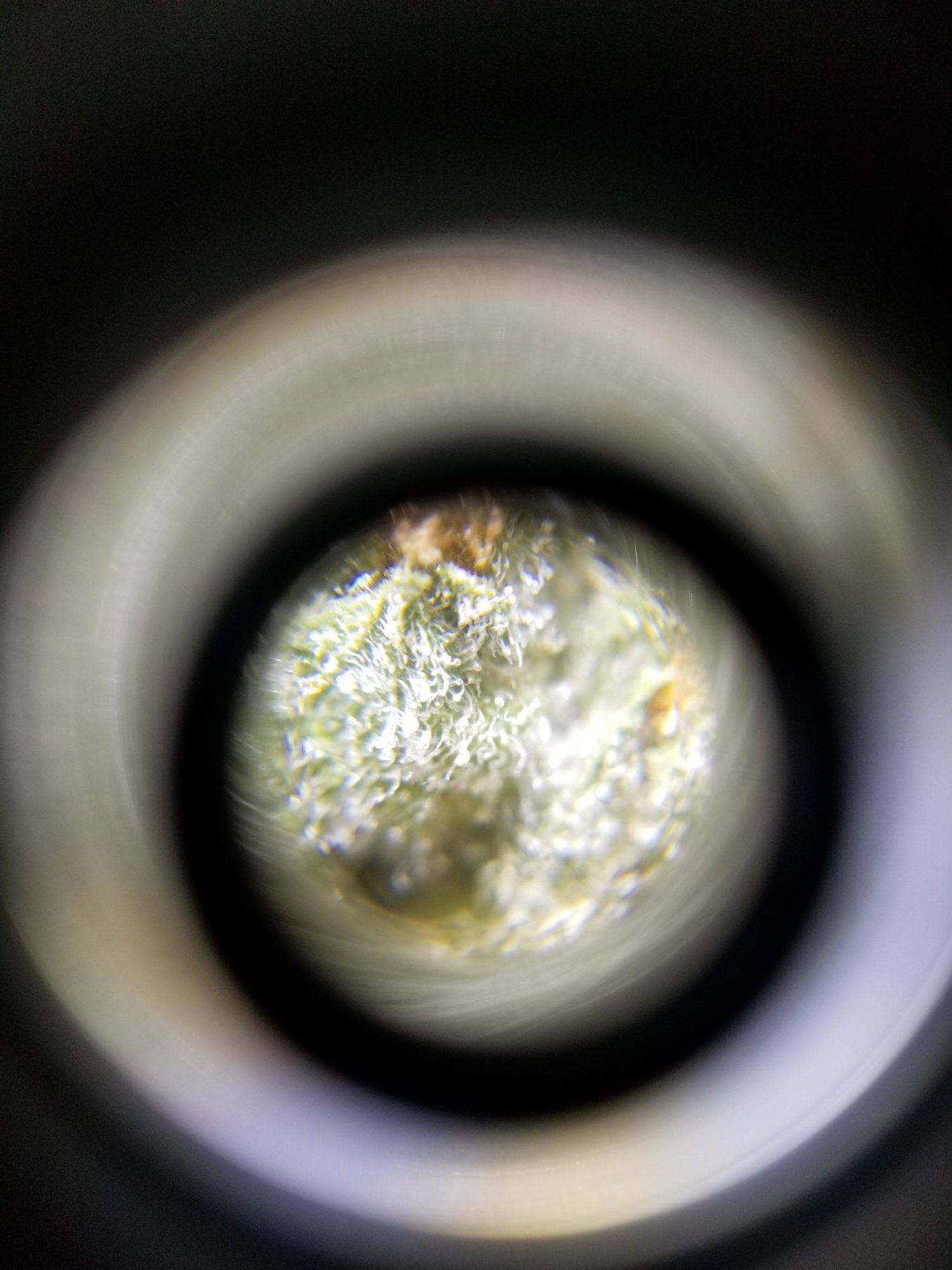 Recreational mj shops 4