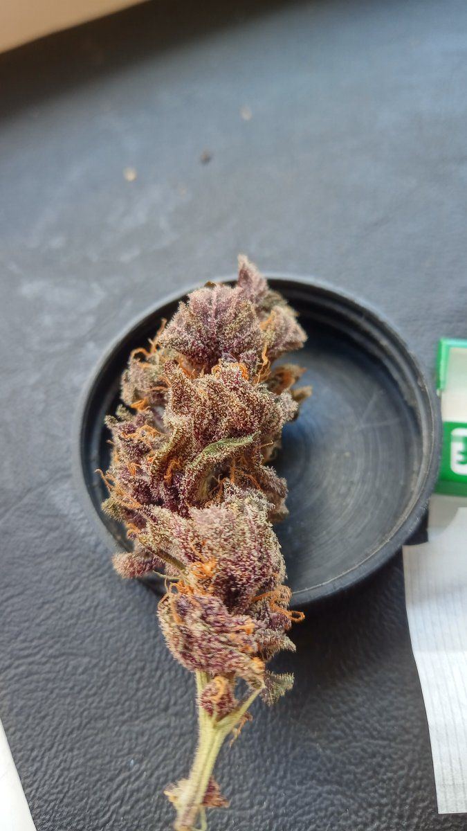 Redhotcookie